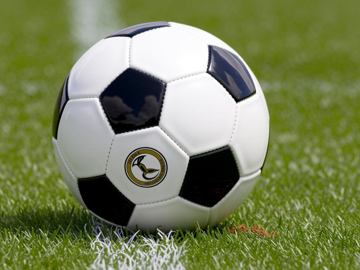 开云体育官网app-“2025世界运动会:三叉湖校区滚球赛事挑战极限精准” 第2张