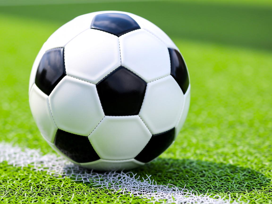 开云官方网-“2025世界运动会：东安湖体育公园成为运动新地标”  第2张